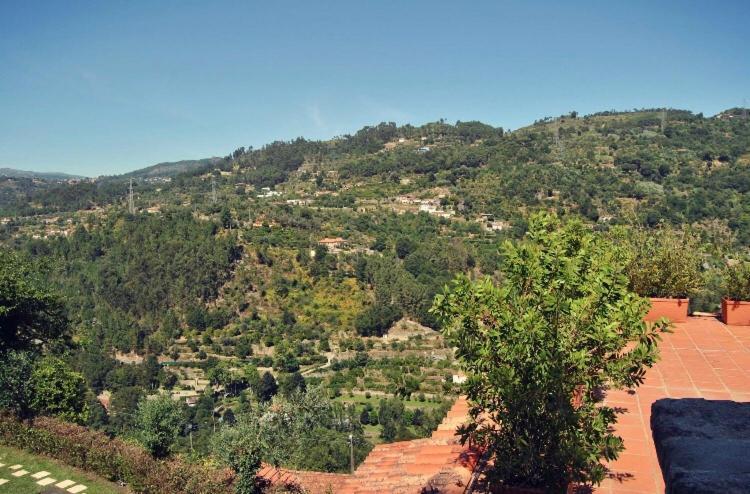 Quinta Do Freixieiro Villa Cinfães Eksteriør bilde